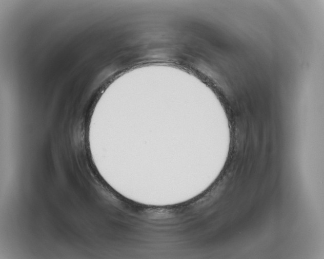 X0000111661450200908281100