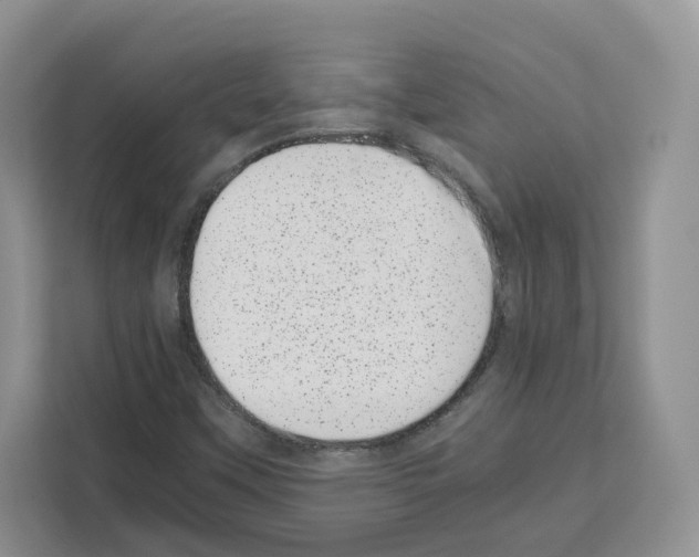 X0000111661451200908281100