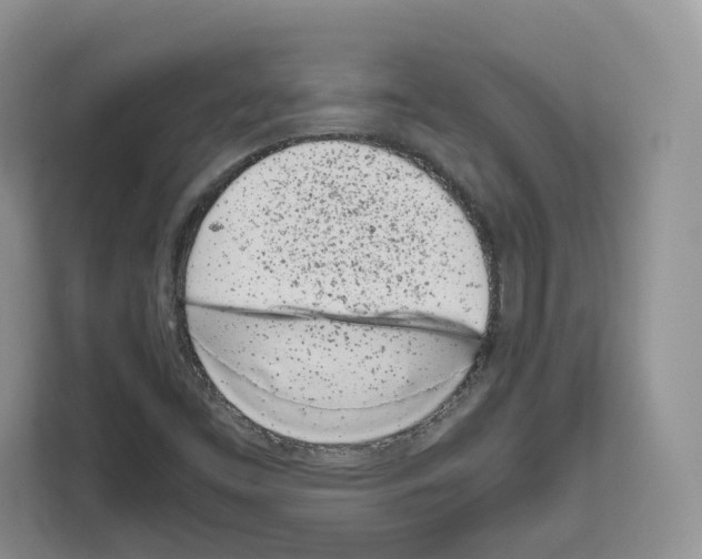 X0000111661453200908281100