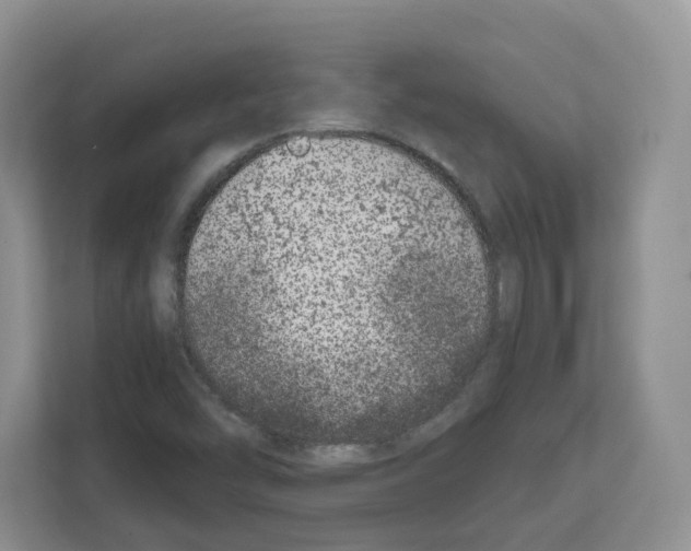 X0000111661454200908281059