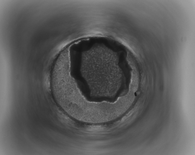 X0000111661455200908281059