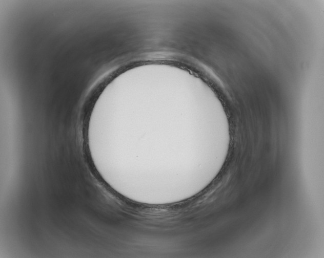 X0000111661456200908281059