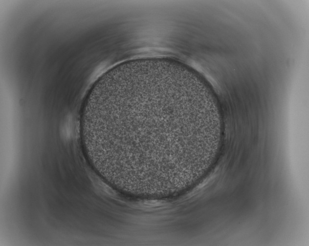 X0000111661459200908281059