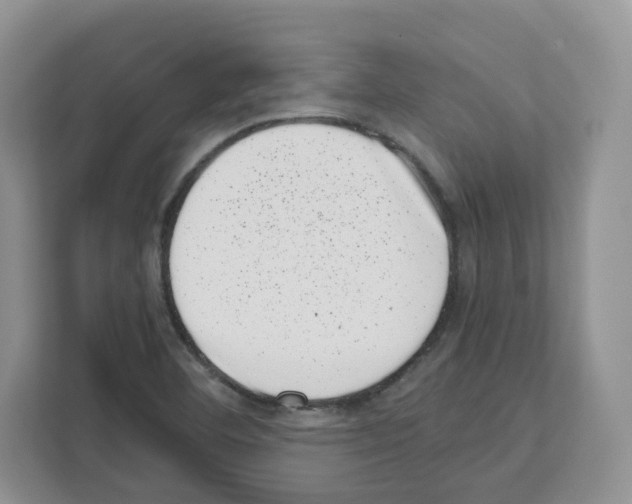 X0000111661460200908281059