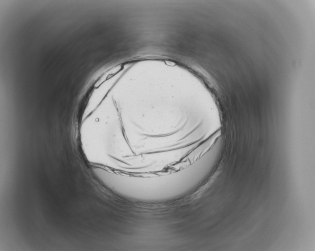 X0000111661461200908281059