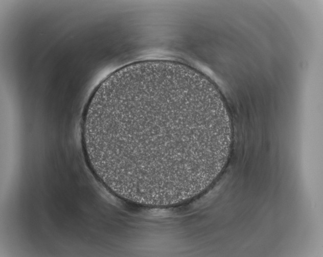 X0000111661463200908281059