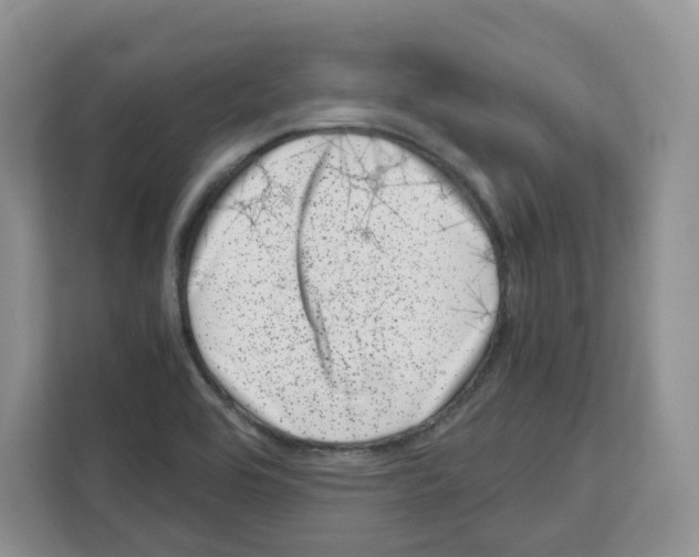 X0000111661464200908281059