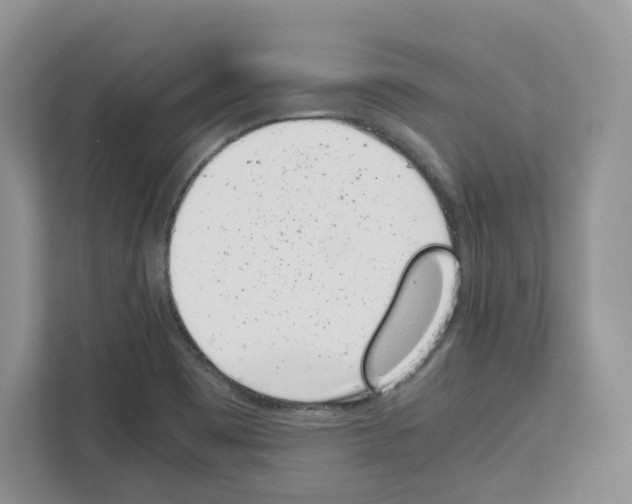 X0000111661465200908281059