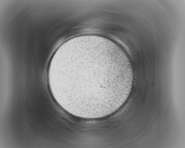 X0000111661467200908281059