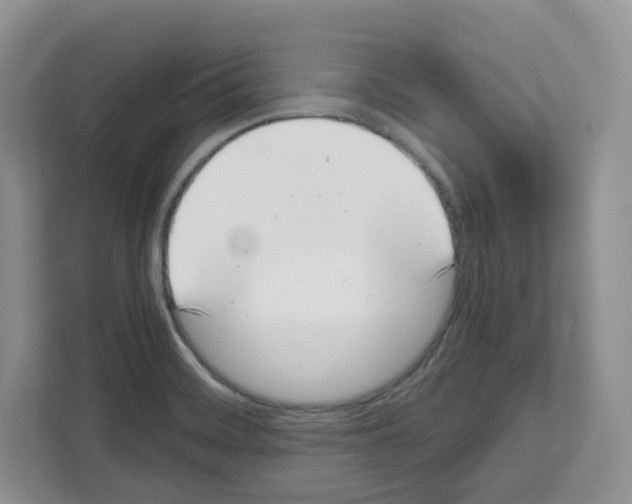 X0000111661468200908281059