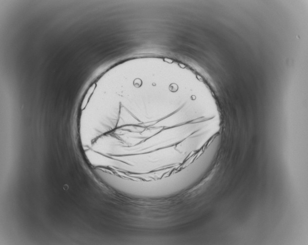 X0000111661469200908281059