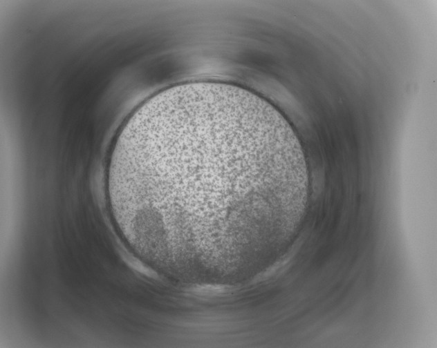 X0000111661470200908281059