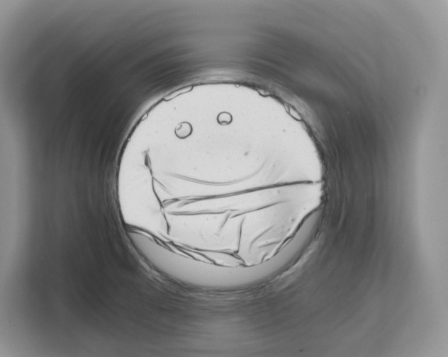 X0000111661473200908281059