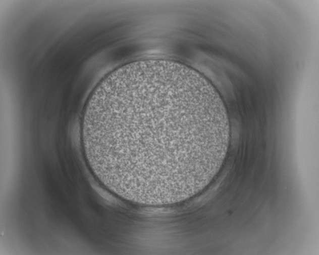 X0000111661474200908281059