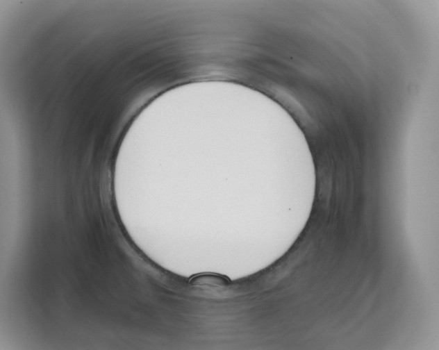 X0000111661476200908281059