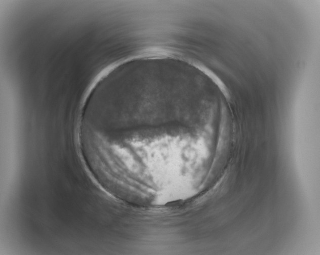 X0000111661477200908281059