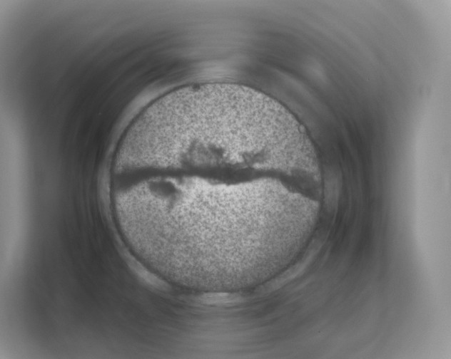 X0000111661478200908281059