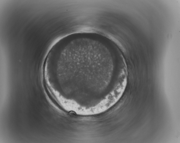 X0000111661479200908281059