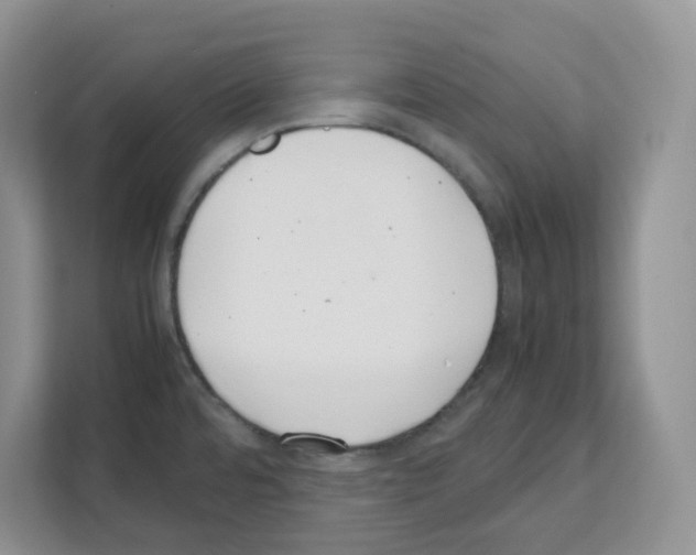 X0000111661480200908281059