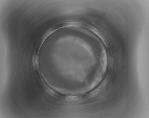 X0000111661481200908281059