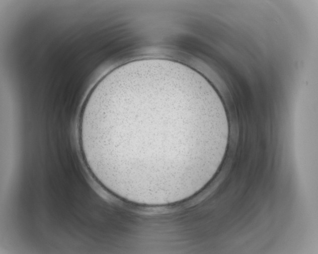 X0000111661482200908281059