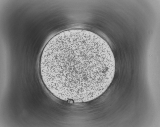 X0000111661483200908281059