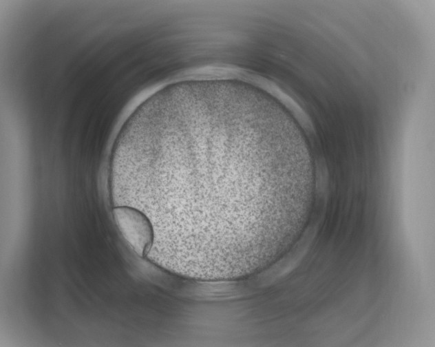 X0000111661486200908281059