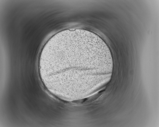 X0000111661488200908281059