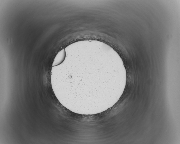 X0000111661490200908281058