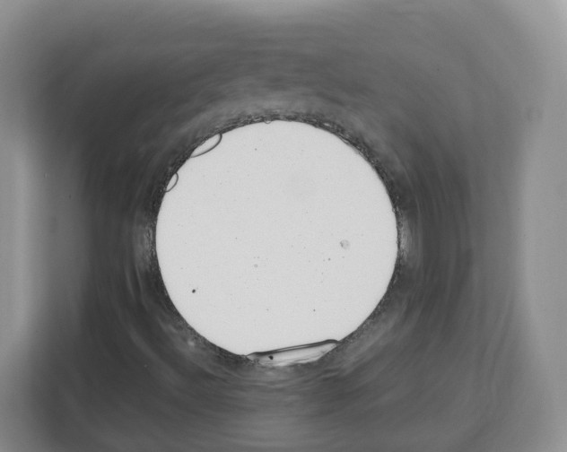 X0000111661492200908281058