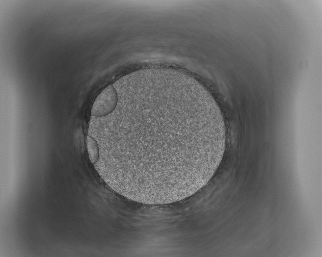 X0000111661493200908281058