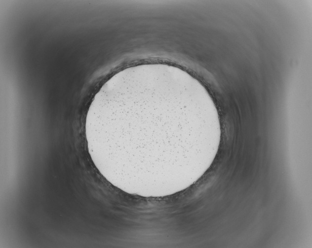 X0000111661494200908281058