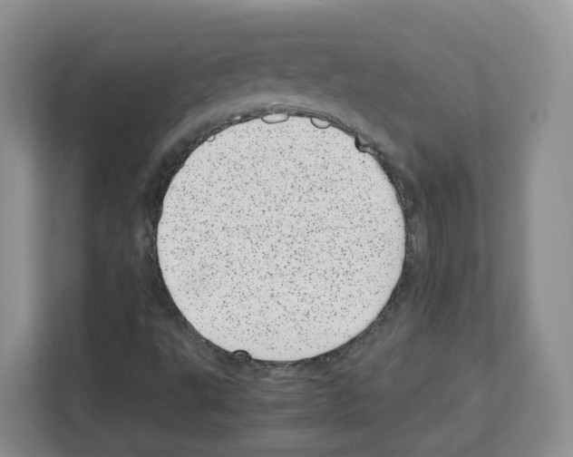 X0000111661495200908281059