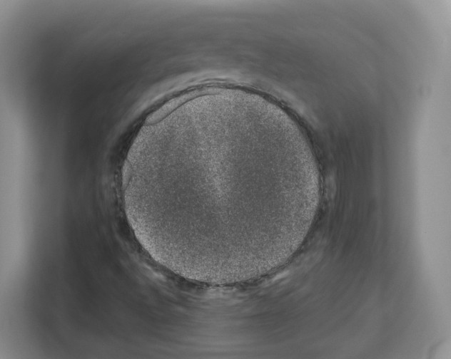 X0000111661496200908281059