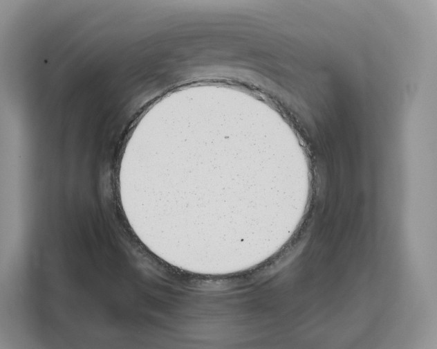 X0000111661497200908281059