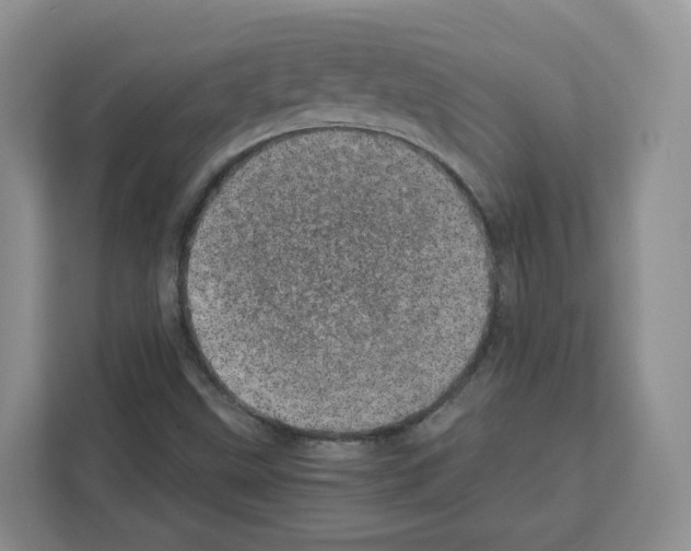 X0000111661499200908281059