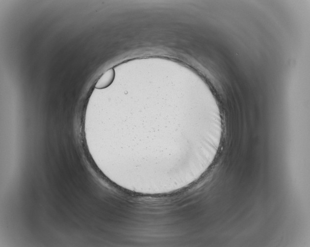 X0000111661500200908281059