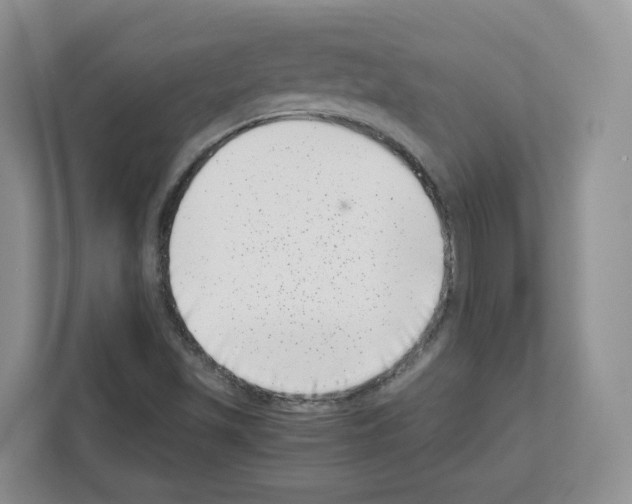 X0000111661501200908281059