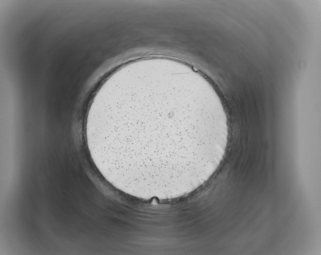 X0000111661503200908281059