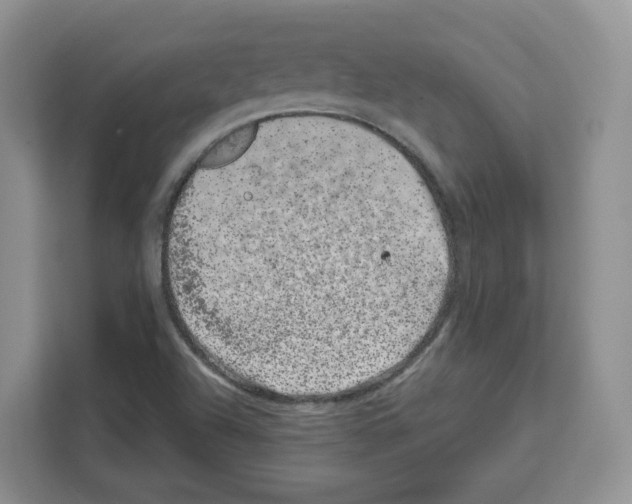 X0000111661504200908281059