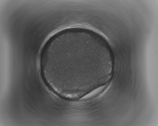 X0000111661506200908281059