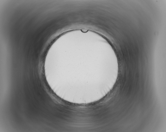 X0000111661507200908281059