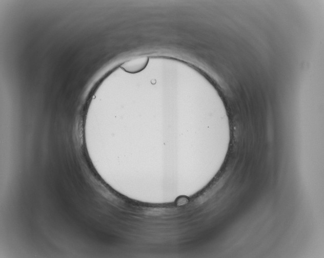 X0000111661510200908281059