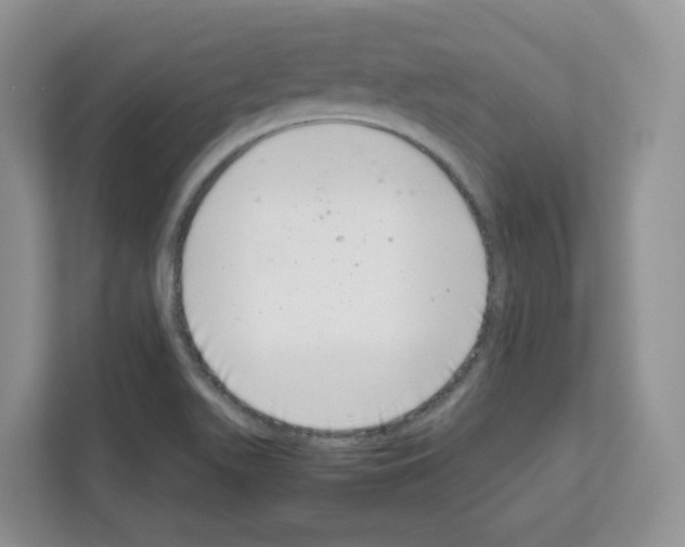 X0000111661511200908281059