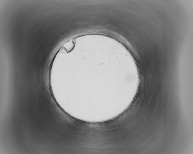 X0000111661512200908281059