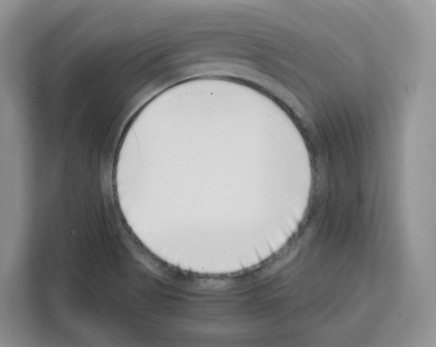 X0000111661513200908281059