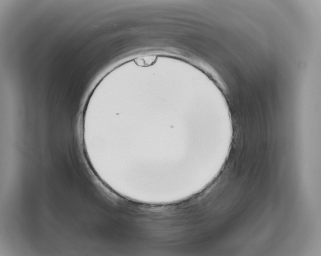 X0000111661516200908281059