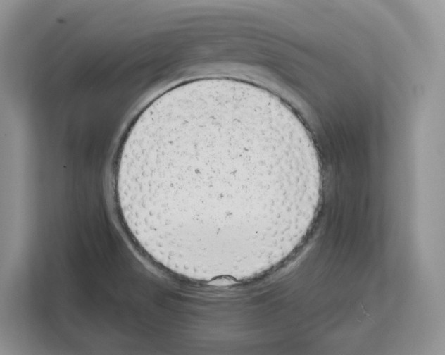 X0000111661517200908281059