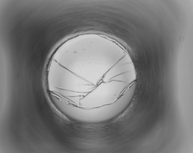 X0000111661518200908281059