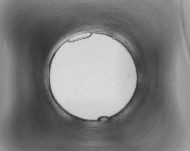 X0000111661520200908281059